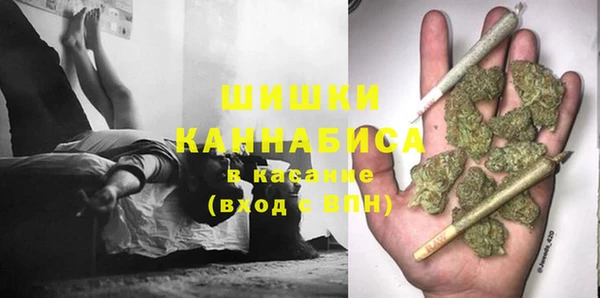 Альфа ПВП Гусь-Хрустальный