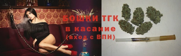 первитин Гусев