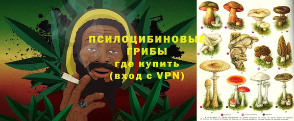 Альфа ПВП Гусь-Хрустальный