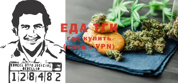 первитин Гусев