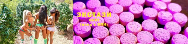 первитин Гусев